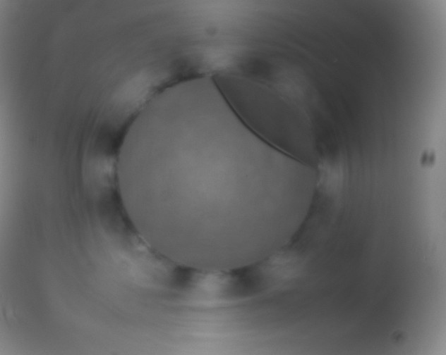 X0000113950621200910161941