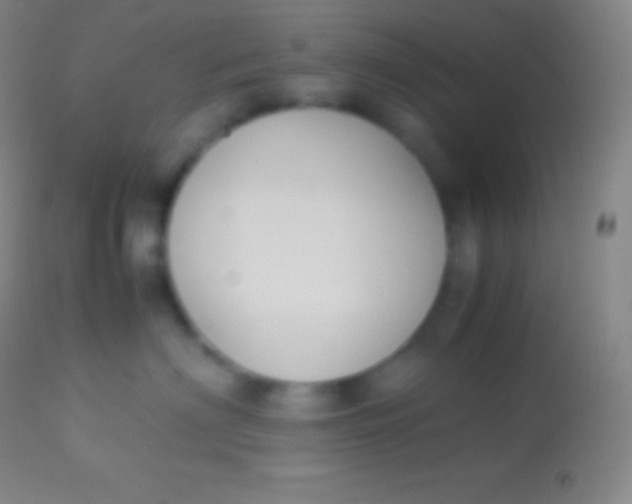 X0000113950622200910161941