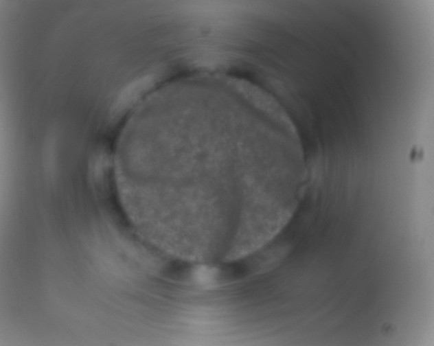 X0000113950623200910161941