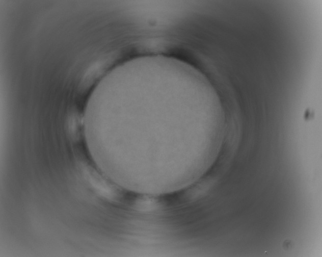 X0000113950624200910161941