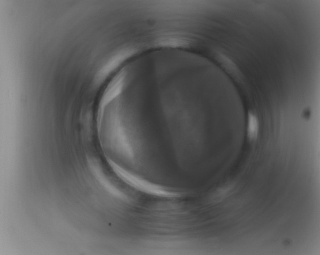 X0000113950627200910161940