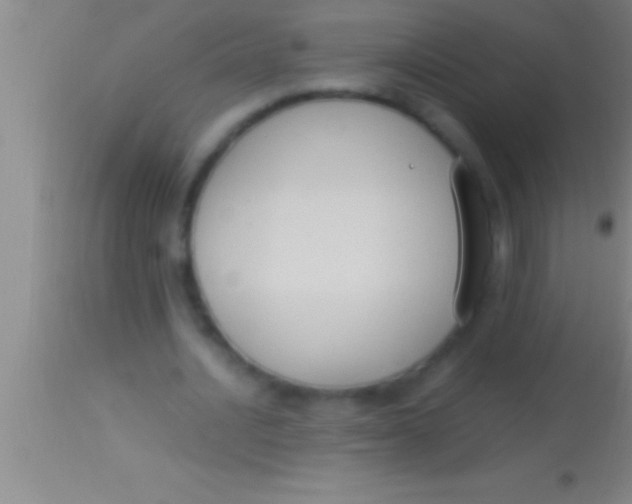 X0000113950628200910161940