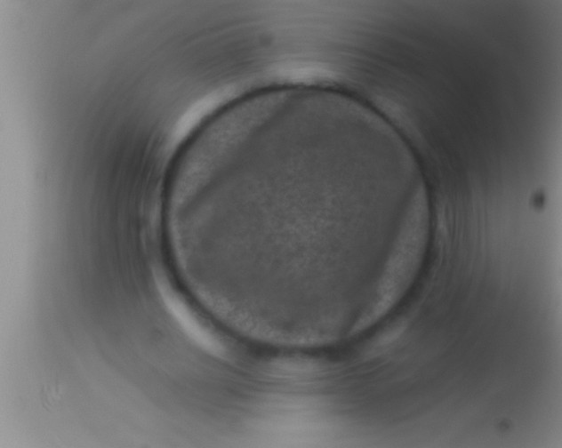 X0000113950630200910161940