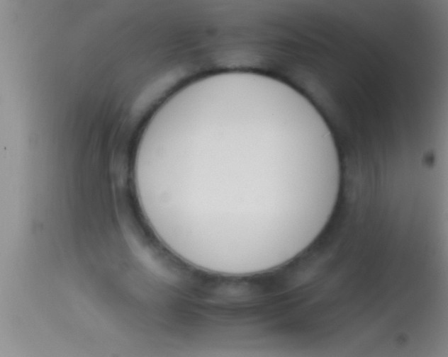 X0000113950631200910161940