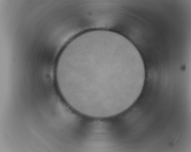 X0000113950632200910161940