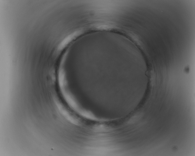 X0000113950634200910161940