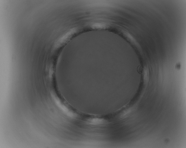 X0000113950637200910161940