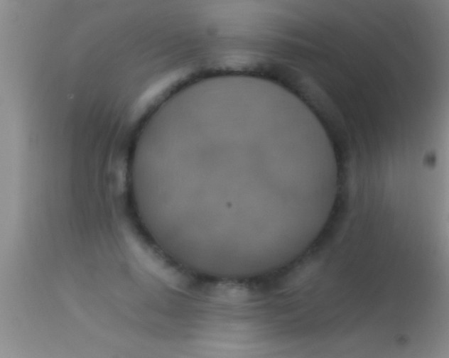 X0000113950640200910161940
