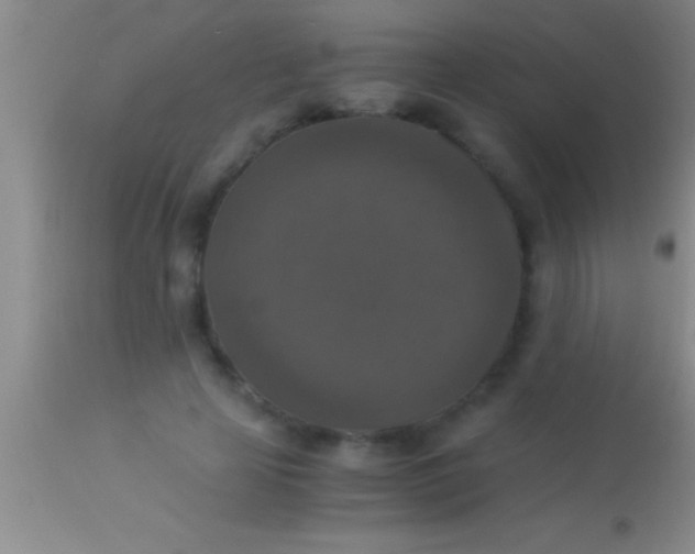 X0000113950641200910161940