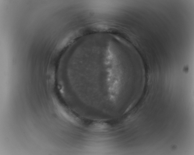 X0000113950642200910161940