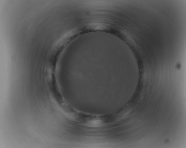 X0000113950643200910161940