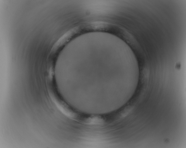 X0000113950644200910161940