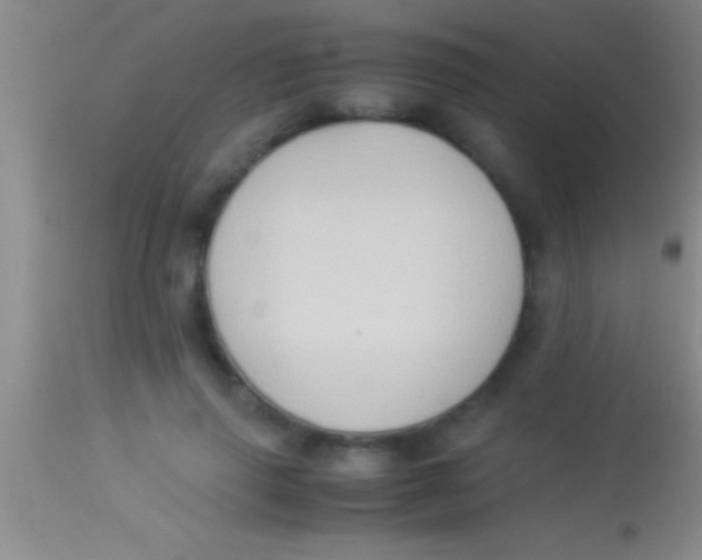 X0000113950645200910161940