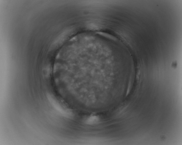 X0000113950647200910161940
