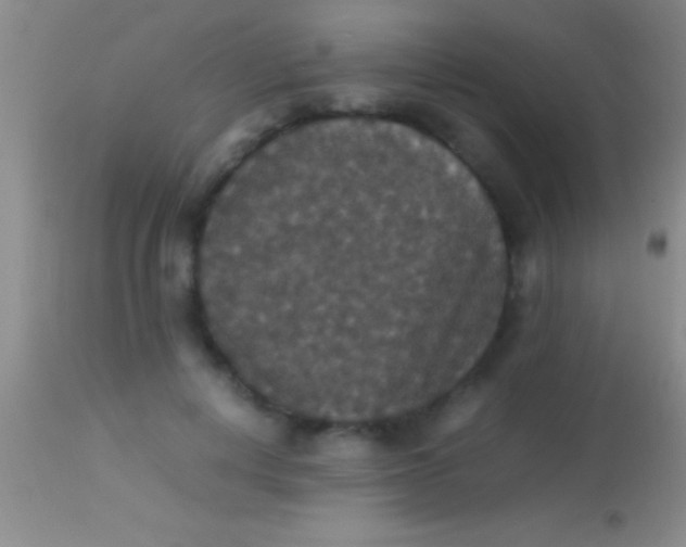X0000113950648200910161940