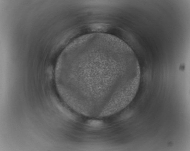 X0000113950649200910161940