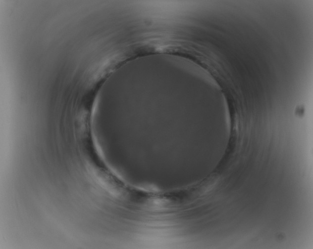 X0000113950650200910161940