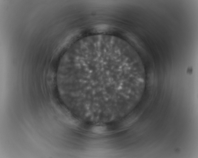 X0000113950653200910161940