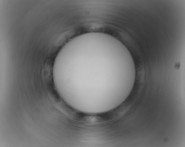 X0000113950654200910161940