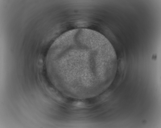 X0000113950655200910161940