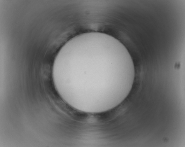X0000113950656200910161940