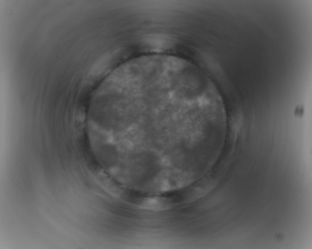 X0000113950657200910161940
