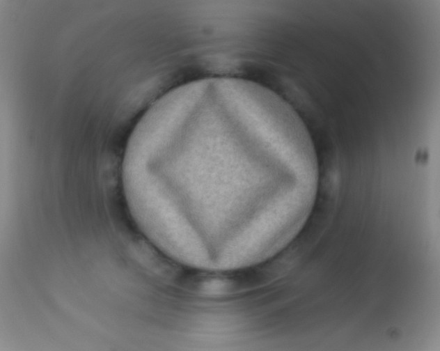 X0000113950658200910161940
