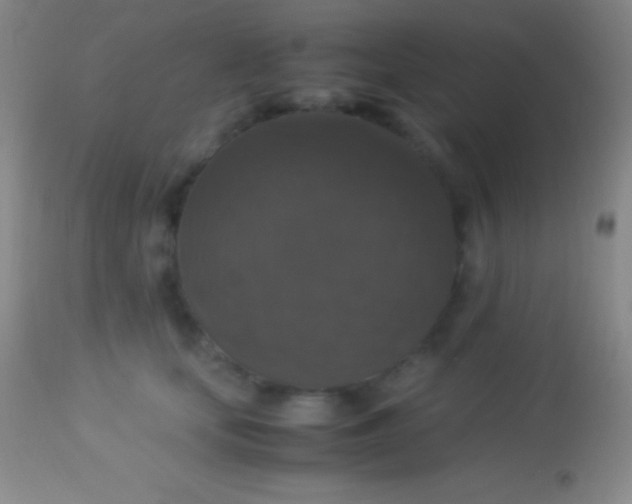 X0000113950659200910161940