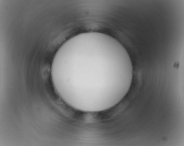 X0000113950660200910161940