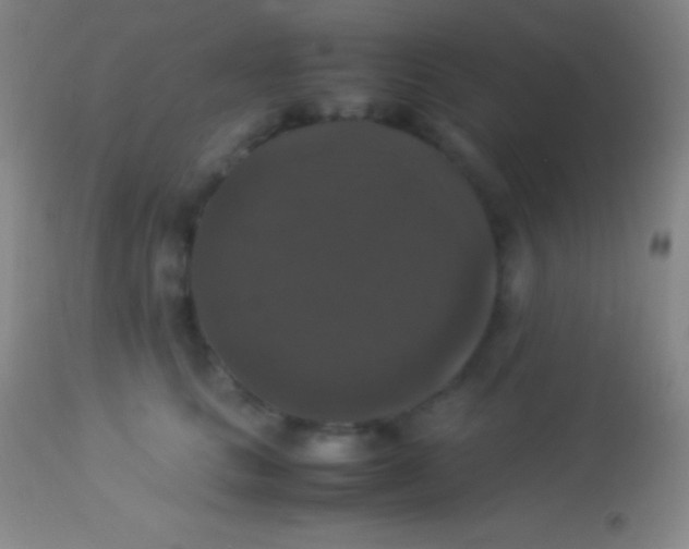 X0000113950661200910161941