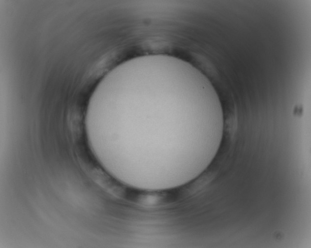 X0000113950662200910161941