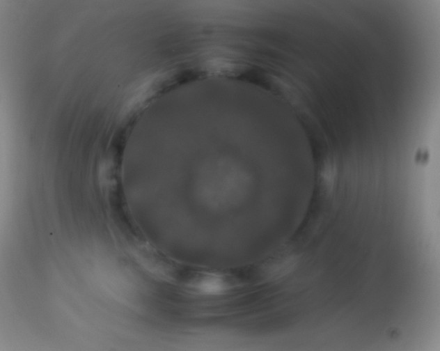 X0000113950663200910161941