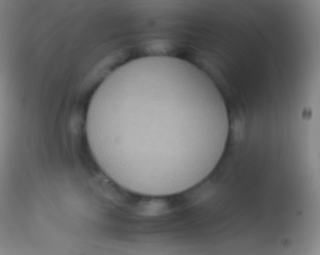 X0000113950665200910161941