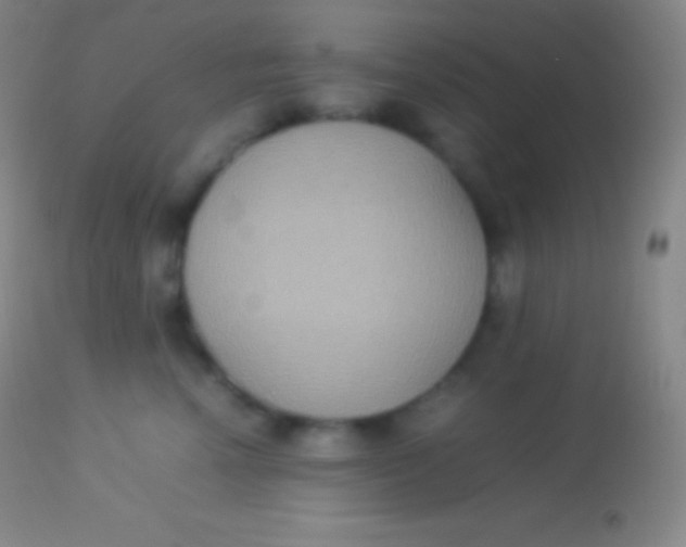 X0000113950666200910161941