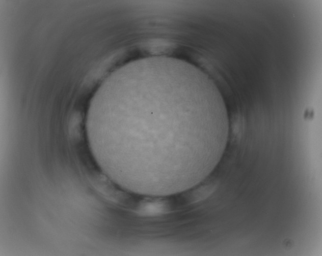 X0000113950667200910161941