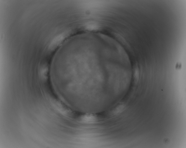 X0000113950668200910161941