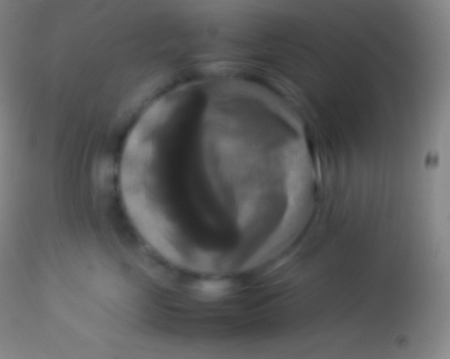 X0000113950669200910161941