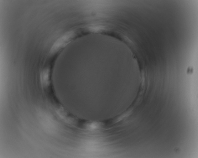 X0000113950670200910161941