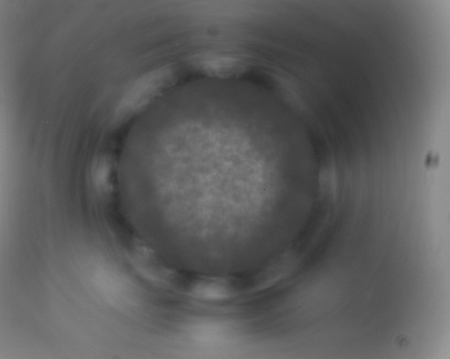X0000113950671200910161941