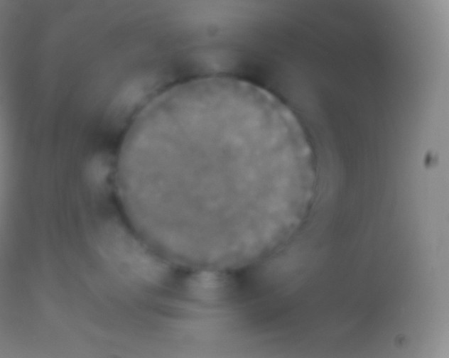 X0000113950672200910161941