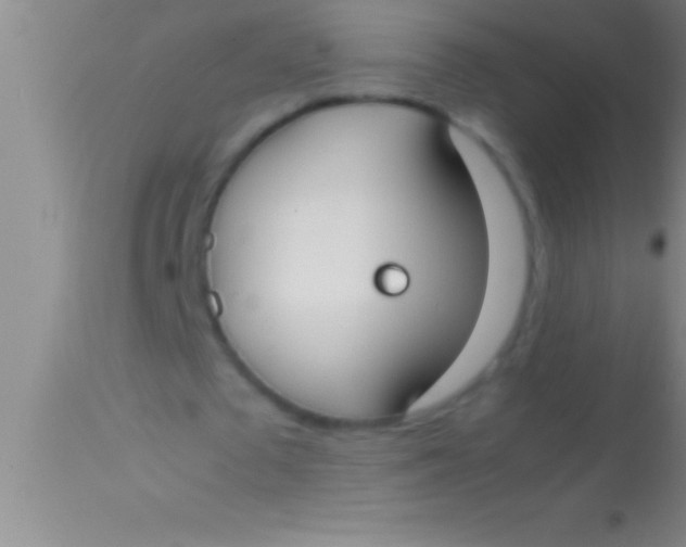 X0000113950673200910161940