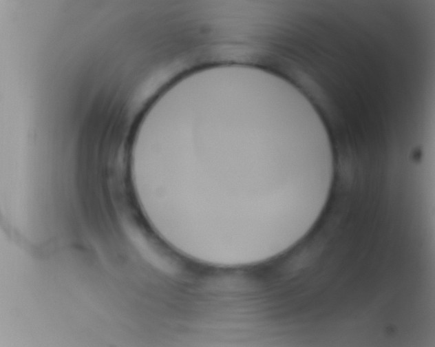 X0000113950674200910161940