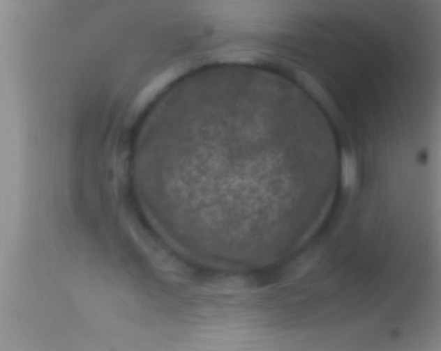 X0000113950675200910161940