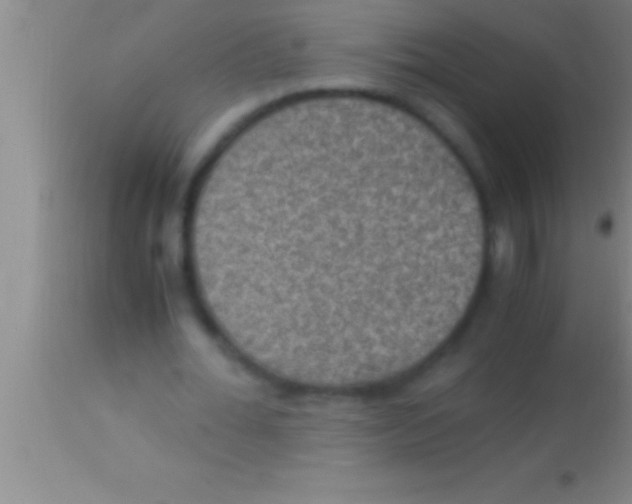 X0000113950676200910161940