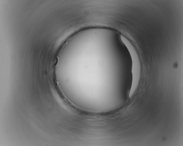 X0000113950677200910161940