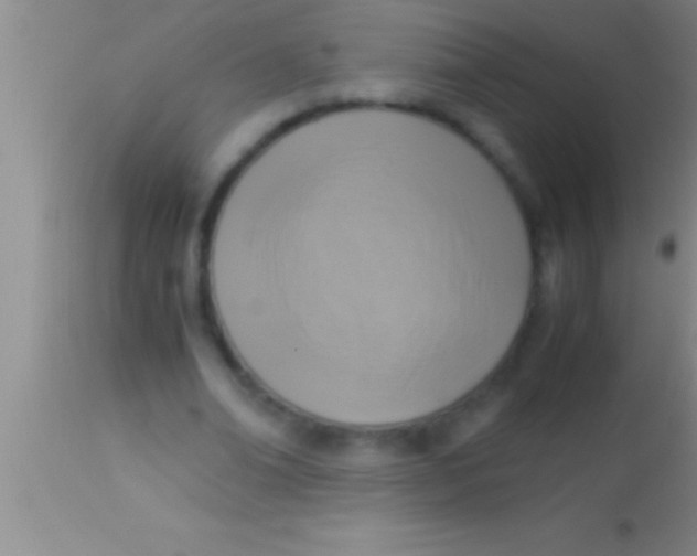 X0000113950678200910161940