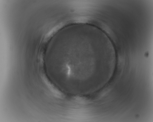 X0000113950681200910161940