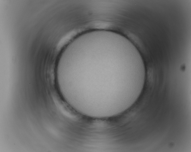 X0000113950682200910161940