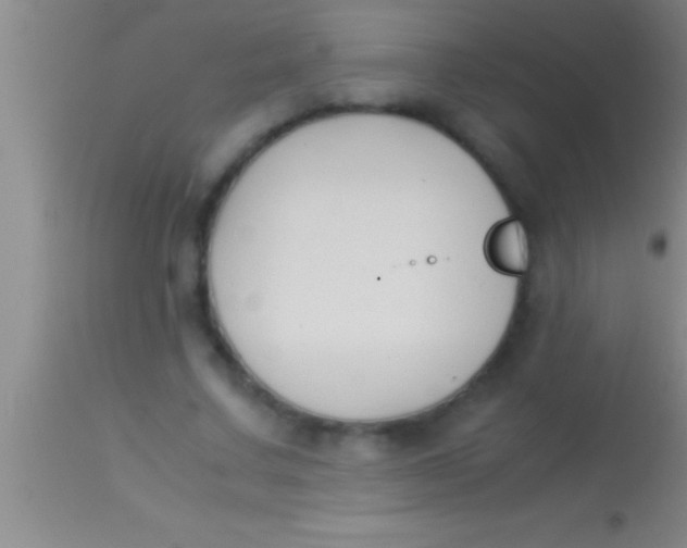 X0000113950683200910161940