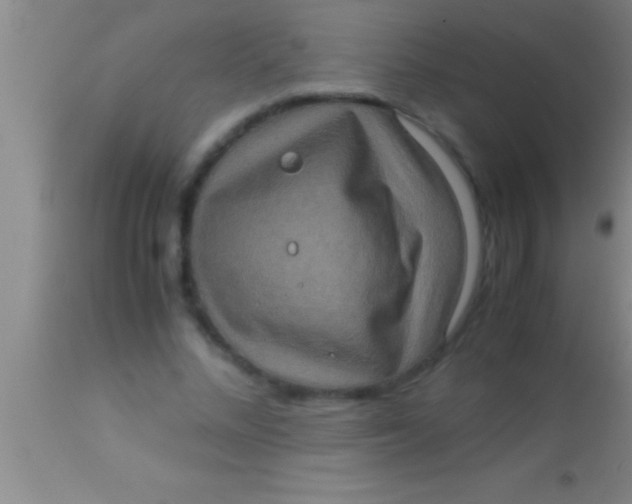 X0000113950684200910161940